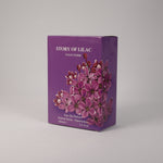 Lade das Bild in den Galerie-Viewer, Story Of Lilac für Damen, Vaporizer mit natürlichem Spray, 100 ml, Duft, TOP Parfüm, NEU OVP
